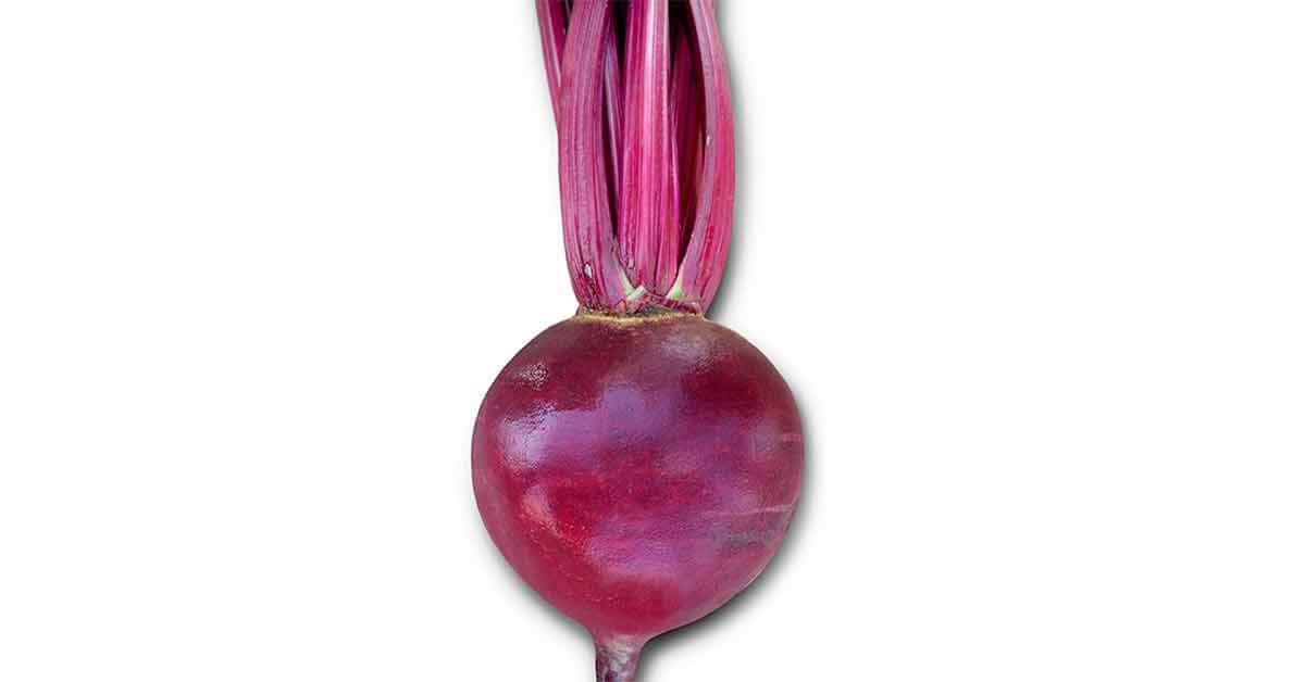 Beterraba Híbrida Cabernet. Vermelha como o vinho.