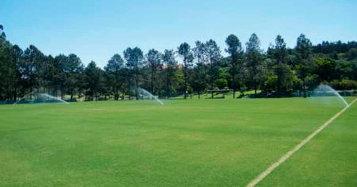 Grama Bermuda. Forme o seu gramado com um custo reduzido