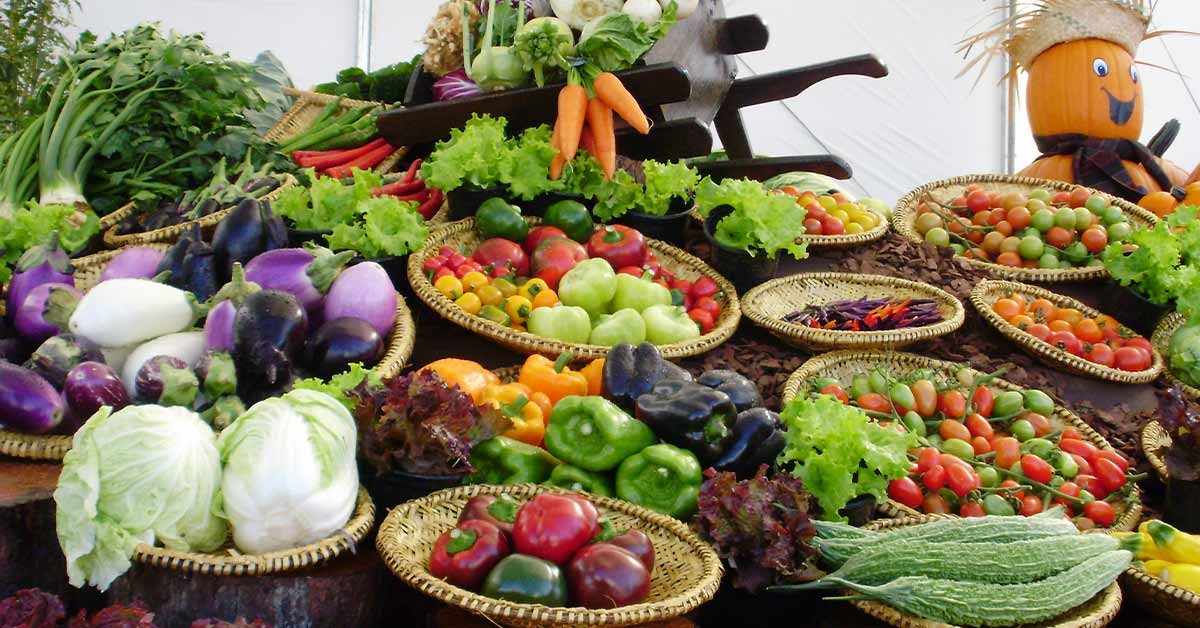 Horticeres Sementes incorpora portfólio de cultivares da Sementes Sakama