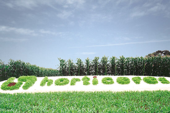 Logo Horticeres