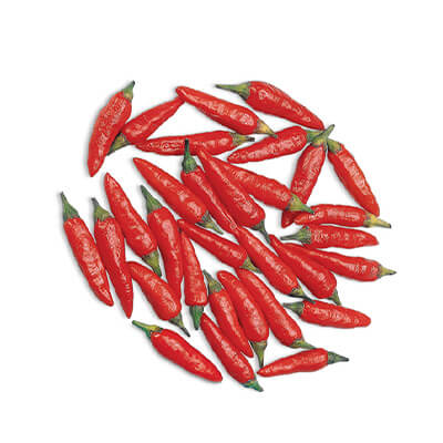 Pimenta - Horticeres Sementes