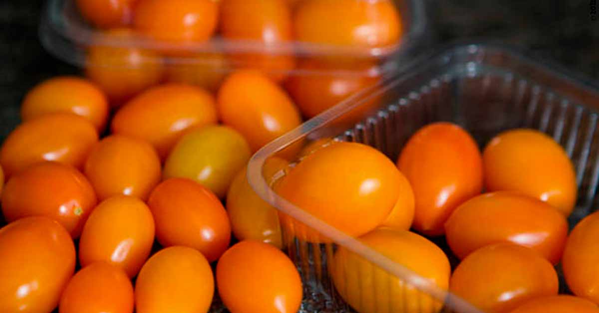 Tomate Híb. Canarinho. Mais cor e sabor para sua salada.